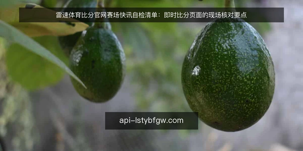 雷速体育比分官网赛场快讯自检清单：即时比分页面的现场核对要点 — 先看哪些信号 配图